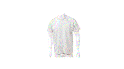 Camiseta Adulto Color Genola gris talla L